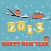 Birdies- Happy New Year-2013