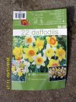 About the Daffodil bulbs.