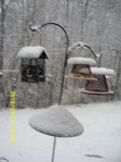 Backyard snowfall.