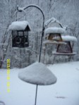 Backyard snowfall.