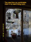 View from inside my apartment.