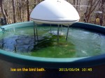 Ice on bird bath.