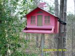 Squirrel Buster Bird feeder