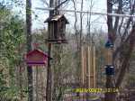 Refilled bird feeders.
