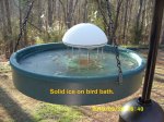 Ice on bird bath.