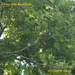 One, two, three, four.