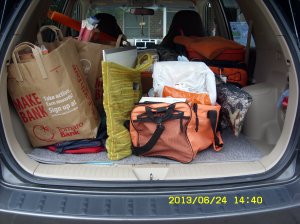 Items for a Thrift Shop