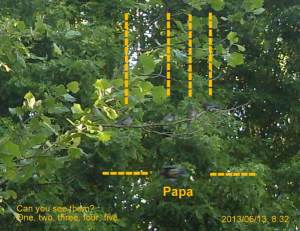 One, two, three, four, five