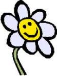 Smiley face daisy