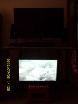 New TV to monitor Bluebird house