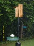 Bluebird house in the rain.