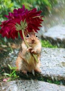 Squirrel with flower umbrella