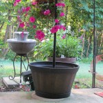 8/31/13 empty planter