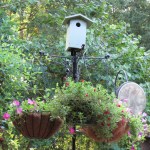 8/31/13 hanging baskets