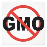 No GMO poster