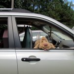 Lord Botetourt says "Is it time to go?"