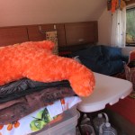 Stuff "stuffed" in the T@B