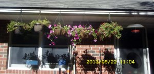 Hanging baskets along the eave