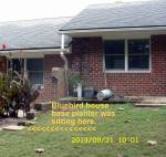 The Bluebird House sat here