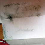 Under the cabinets; extreme rear