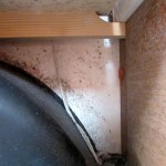 Mold around wheel well