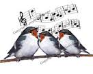 Three birds singing