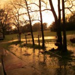 My flooded yard 