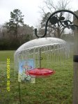 Icicles on Hummingbird feeder