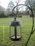 Icicles on bird feeder