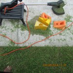 After "wacking" the weeds