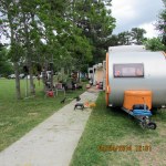 The yard after weed wacking