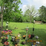 Broad view of squirrel on bird feeder