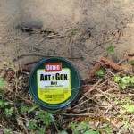 Ant-B-Gone