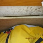 Mold in far left corner