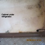 Cabinet under refrigerator