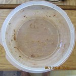 Empty salad bowl