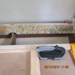 Next area to sponge with Borax