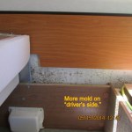 More mold