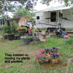 They moved my plants