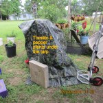 Tarp covering tomato plant