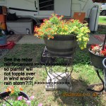 Reinforced planter (back)