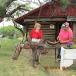 Miss Lucy describing saddles