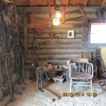 Collectibles in Museum