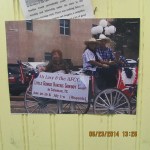 Picture of Miss Lucy in parade