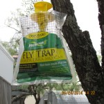 Fly trap