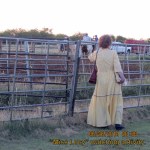 Miss Lucy watching rodeo