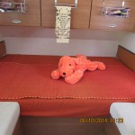 After I covered the bed