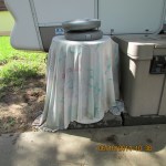 Nature's Head will get cleaned