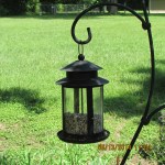 Need to fill bird feeder