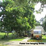 Fewer limbs hanging down